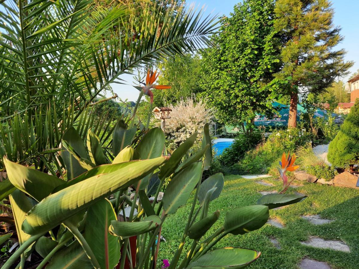 Penzion Zahrada Nad Rekou, Restaurace A Kavarna - Parkovani Gratis Zlata Koruna Екстер'єр фото