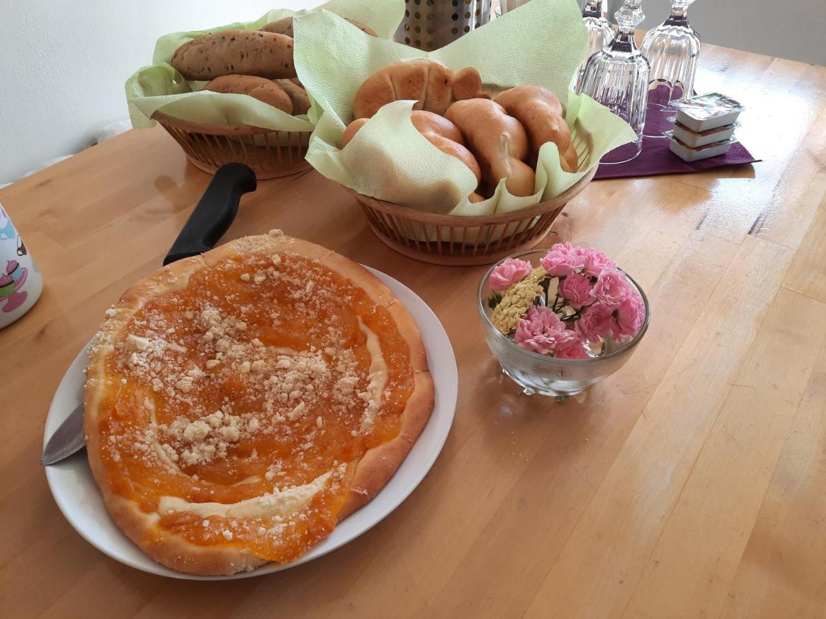 Penzion Zahrada Nad Rekou, Restaurace A Kavarna - Parkovani Gratis Zlata Koruna Екстер'єр фото